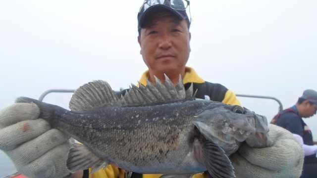 12일 우럭 조황 사진 20
