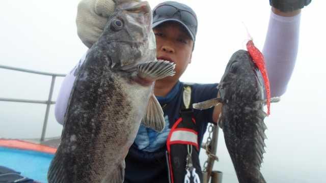 12일 우럭 조황 사진 25