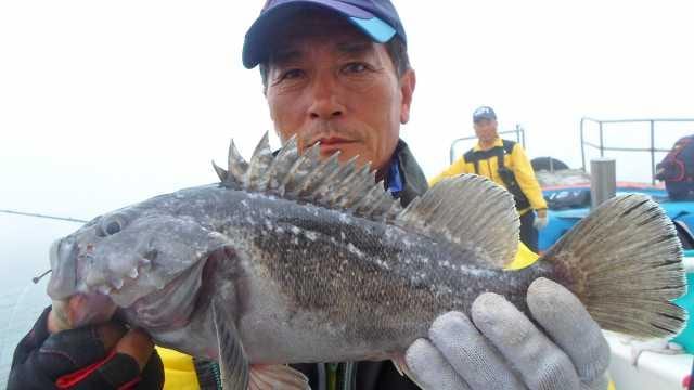 12일 우럭 조황 사진 27