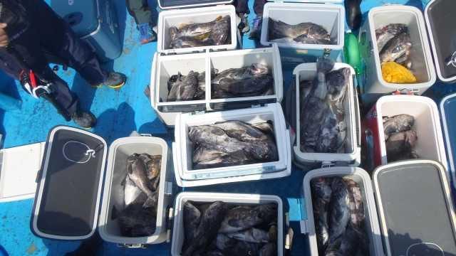 13일 10분 대박조황1부 사진 1