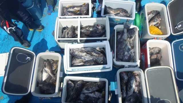 13일우럭 대박조황2부 사진 2