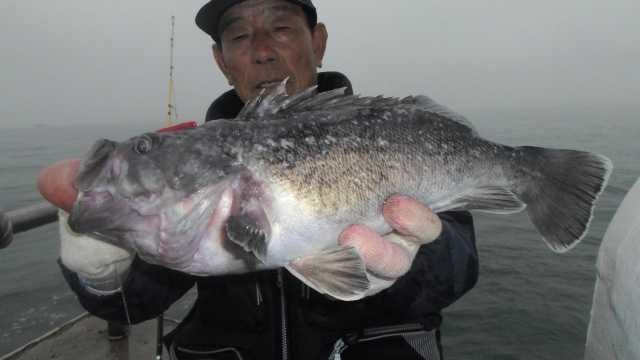 13일우럭 대박조황2부 사진 10