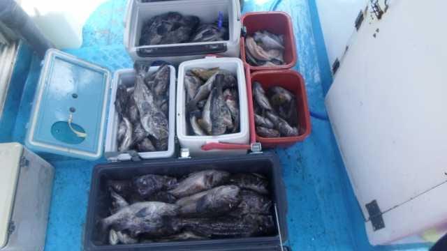 19일 우럭 굿조황 1부 사진 1