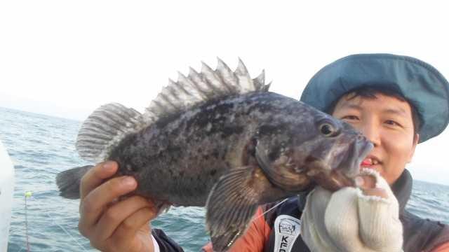 25일 우럭 조황 사진 19