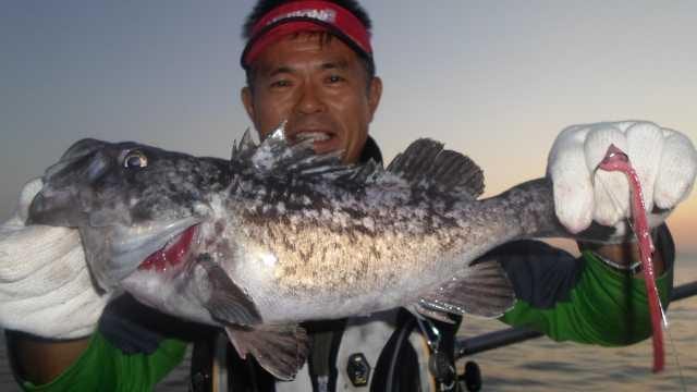26일 조황 사진 3