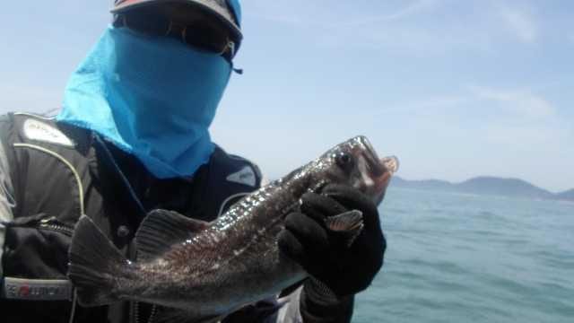 26일 조황 사진 9