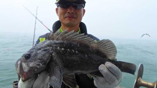 26일 조황 사진 12