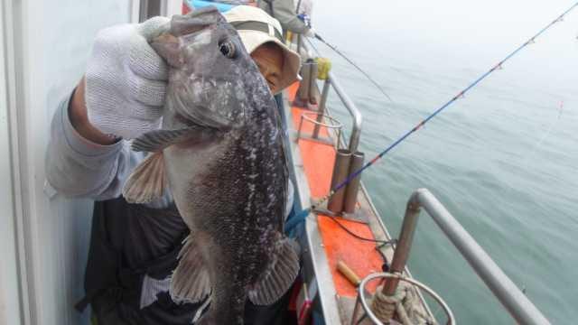 26일 조황 사진 15