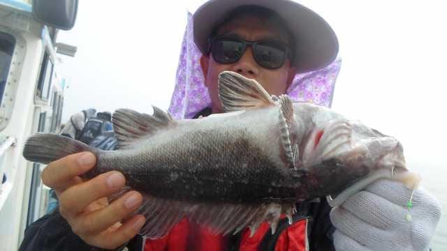 29일조황 사진 12