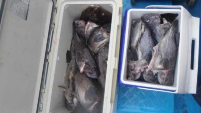 29일조황 사진 20