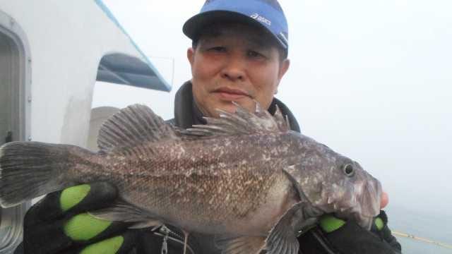 13일 우럭조황 사진 3