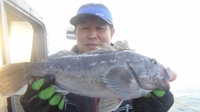 13일 우럭조황 사진 6