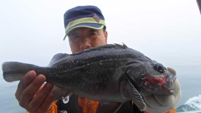 13일 우럭조황 사진 9
