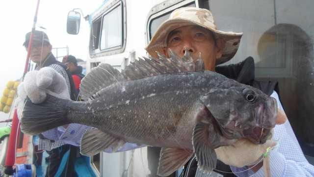 13일 우럭조황 사진 10