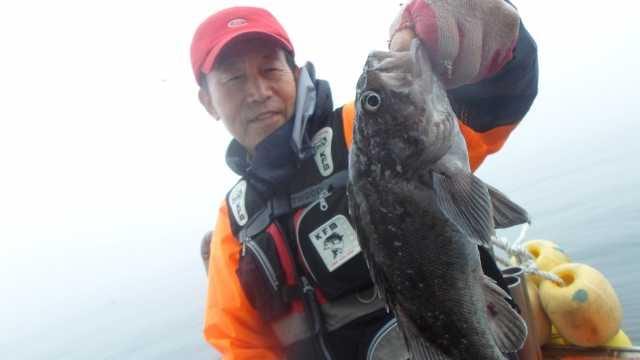 13일 우럭조황 사진 13