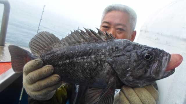 13일 우럭조황 사진 15