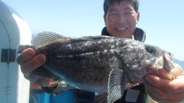 14일 7분우럭조황 사진 3