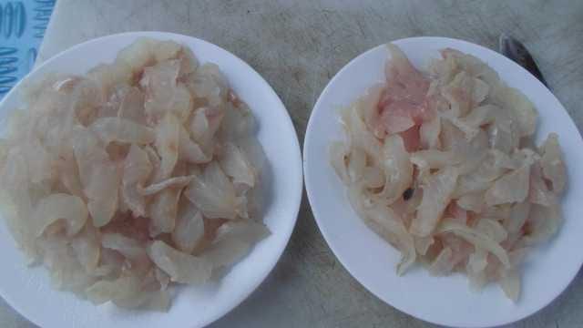 30일 조황 사진 11