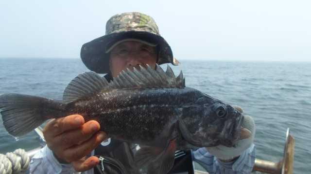 30일 조황 사진 15