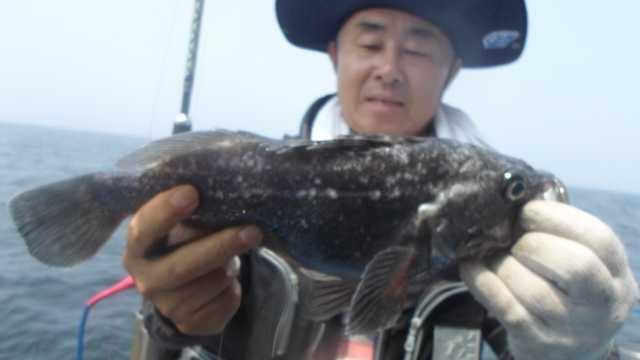 30일 조황 사진 18