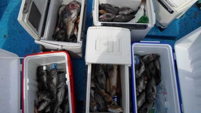8월28일 단체조황 사진 21