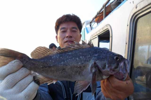 11일 조황 사진 5