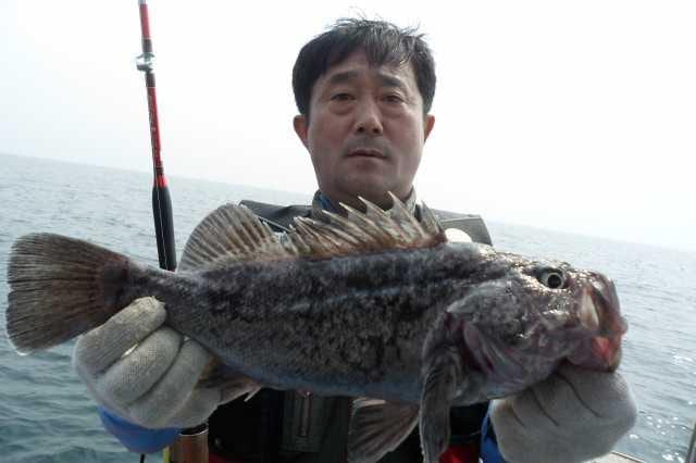 11일 조황 사진 12