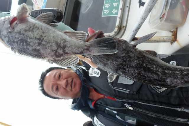 11일 조황 사진 14