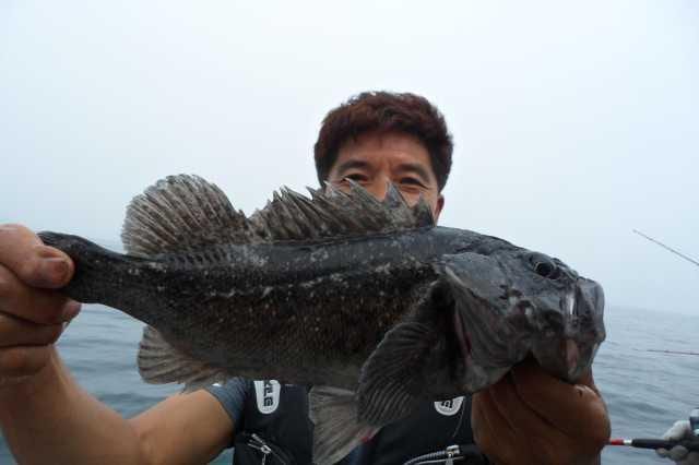11일 조황 사진 16