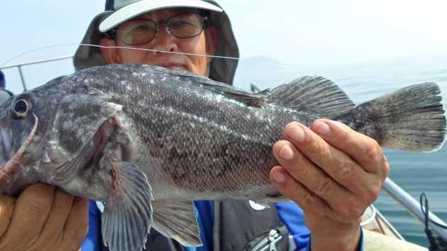 22일 놀리팀 조황 사진 4