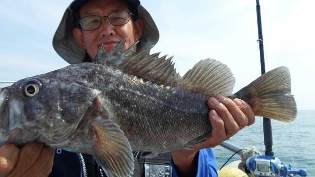 22일 놀리팀 조황 사진 5