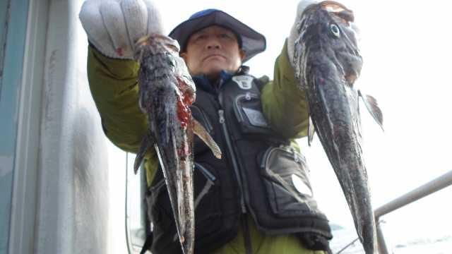 22일 놀리팀 조황 사진 6