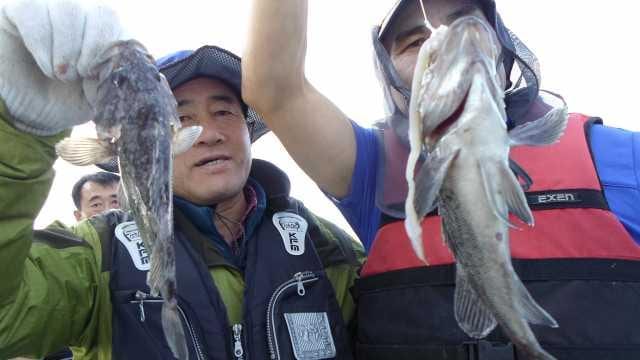 22일 놀리팀 조황 사진 8