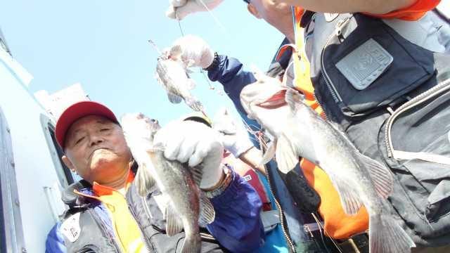 22일 놀리팀 조황 사진 14
