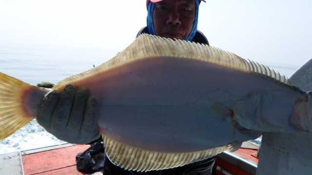 24일 조황 사진 1