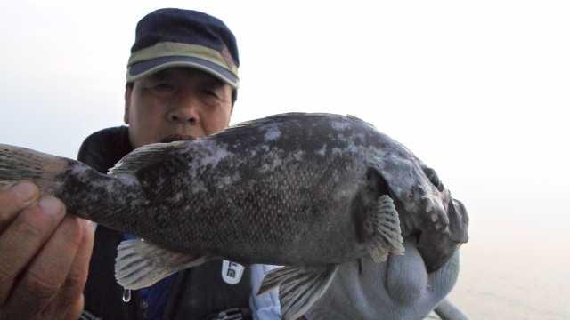 24일 조황 사진 5