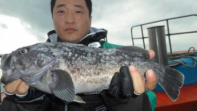 8일조황 사진 7