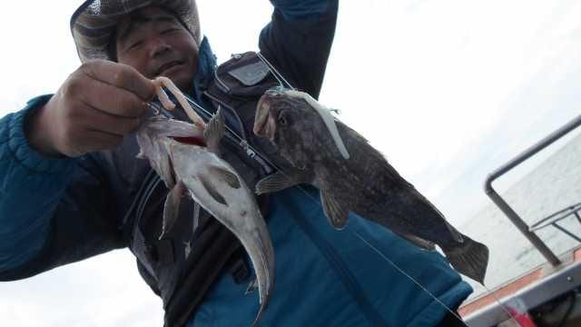 10일 조황 사진 15