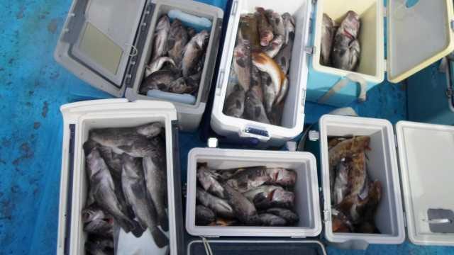 10일 조황 사진 1