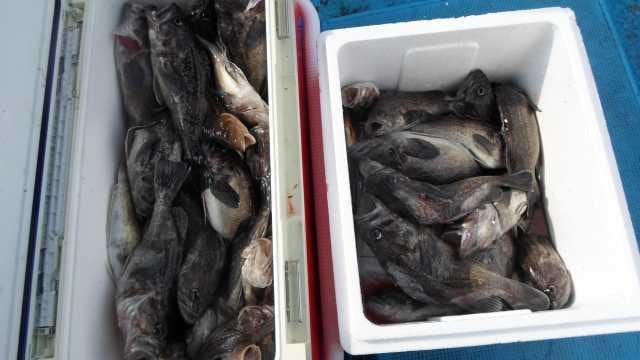 22일  단체조황 사진 1