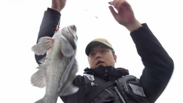 22일  단체조황 사진 2