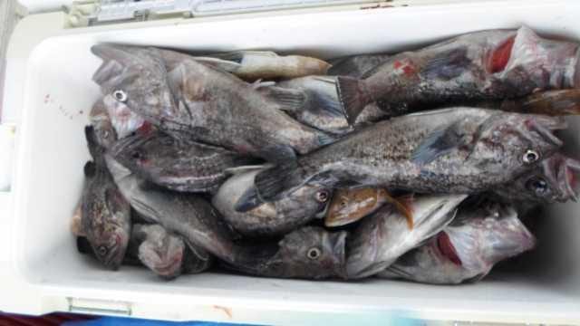 22일  단체조황 사진 10