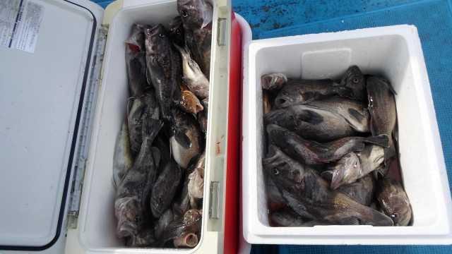22일  단체조황 사진 11