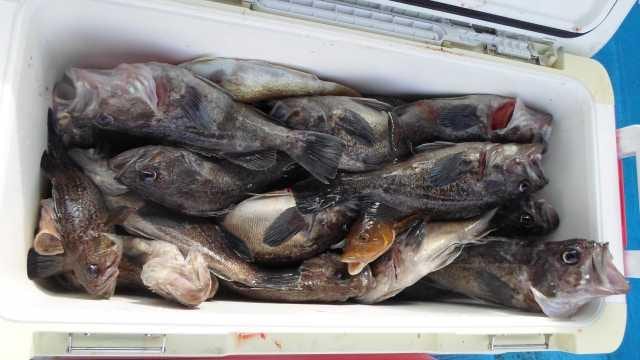 22일  단체조황 사진 12