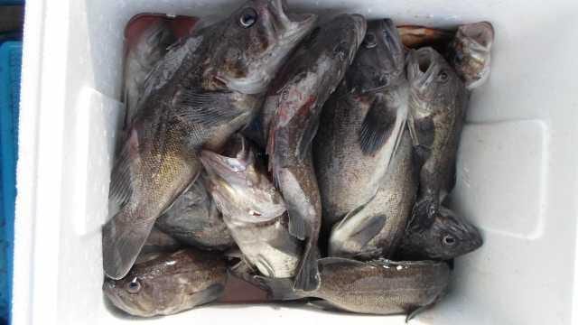 22일  단체조황 사진 13