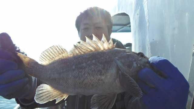 24일 조황 사진 8