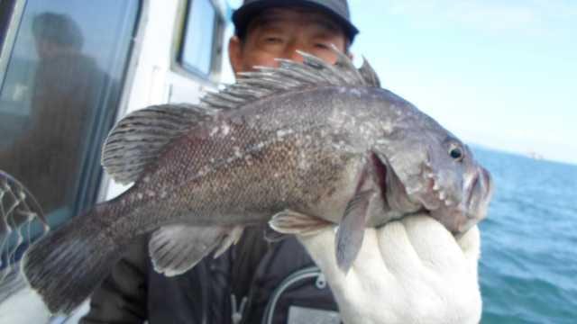 24일 조황 사진 21