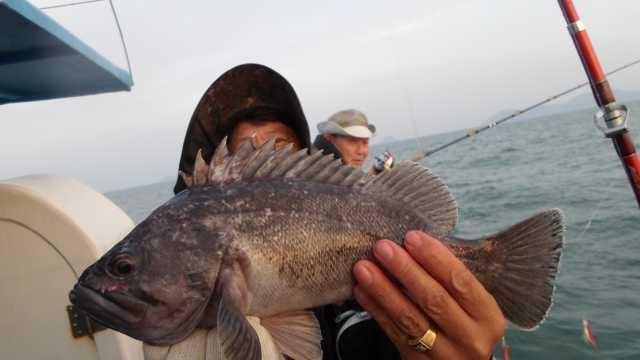 27일 단체 조황 사진 4
