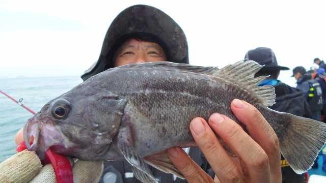 27일 단체 조황 사진 18
