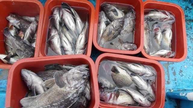 27일 단체 조황 사진 26
